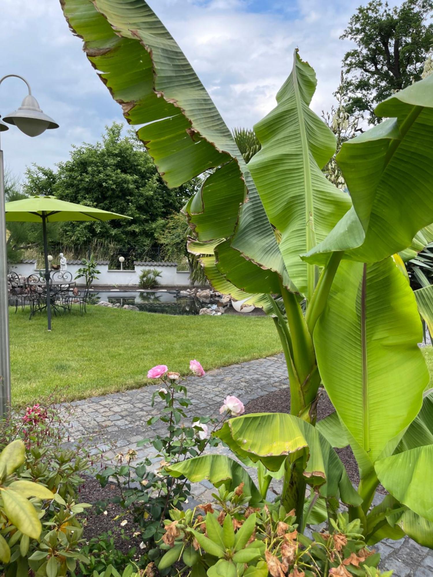 Ferienwohnung Am Pferdemarkt 孔茨 外观 照片